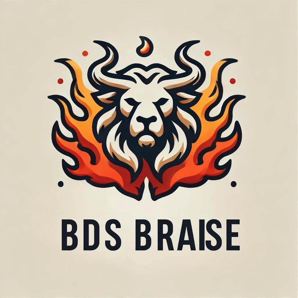 BDS BRAISE logo